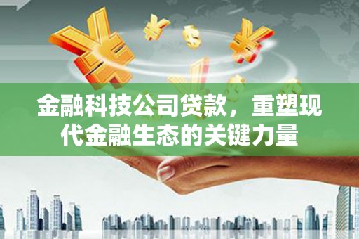 沙依巴克金融科技公司贷款，重塑现代金融生态的关键力量