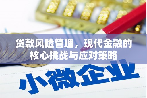 沙依巴克贷款风险管理，现代金融的核心挑战与应对策略