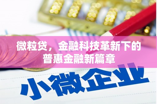 沙依巴克微粒贷，金融科技革新下的普惠金融新篇章