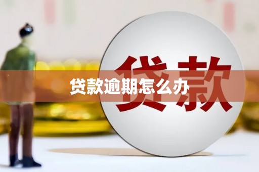 沙依巴克贷款逾期怎么办