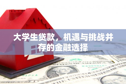 沙依巴克大学生贷款，机遇与挑战并存的金融选择