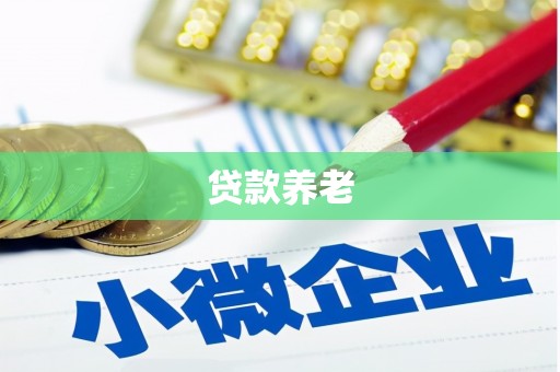 沙依巴克贷款养老