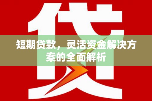 沙依巴克短期贷款，灵活资金解决方案的全面解析