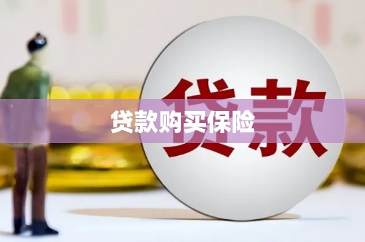沙依巴克贷款购买保险
