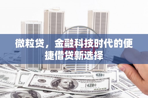 沙依巴克微粒贷，金融科技时代的便捷借贷新选择