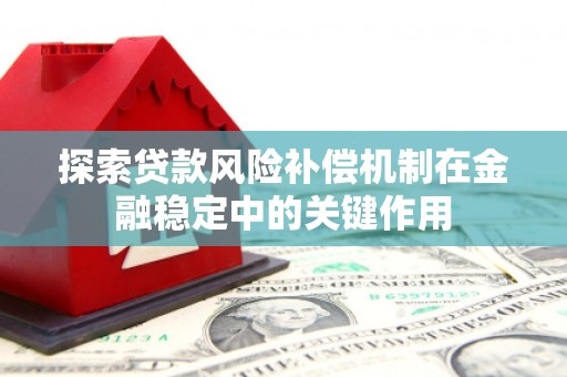 沙依巴克探索贷款风险补偿机制在金融稳定中的关键作用