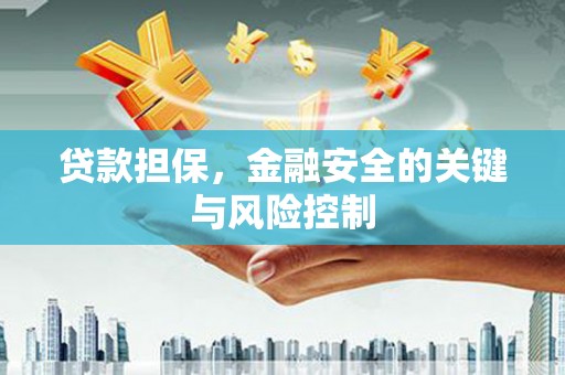 沙依巴克贷款担保，金融安全的关键与风险控制