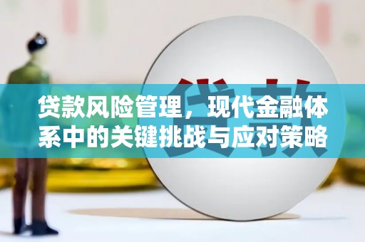 沙依巴克贷款风险管理，现代金融体系中的关键挑战与应对策略