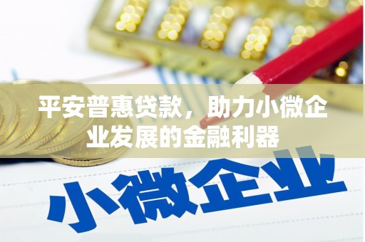 沙依巴克平安普惠贷款，助力小微企业发展的金融利器