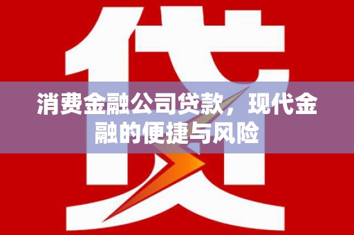 沙依巴克消费金融公司贷款，现代金融的便捷与风险