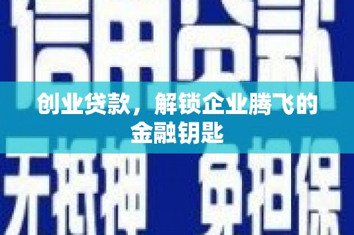 沙依巴克创业贷款，解锁企业腾飞的金融钥匙