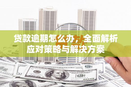 沙依巴克贷款逾期怎么办，全面解析应对策略与解决方案