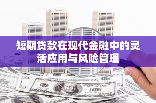 沙依巴克短期贷款在现代金融中的灵活应用与风险管理