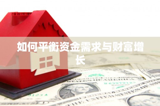 沙依巴克如何平衡资金需求与财富增长