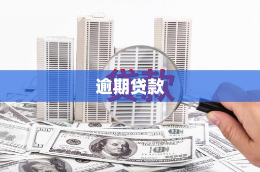 沙依巴克逾期贷款