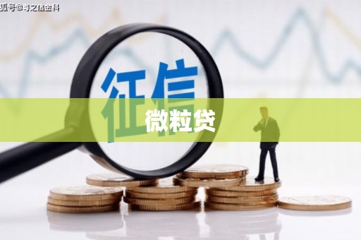沙依巴克微粒贷