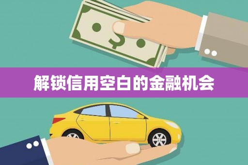 沙依巴克解锁信用空白的金融机会