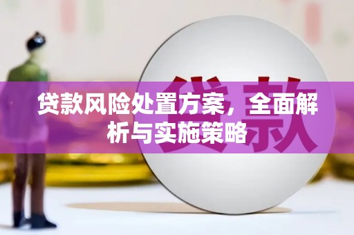 沙依巴克贷款风险处置方案，全面解析与实施策略