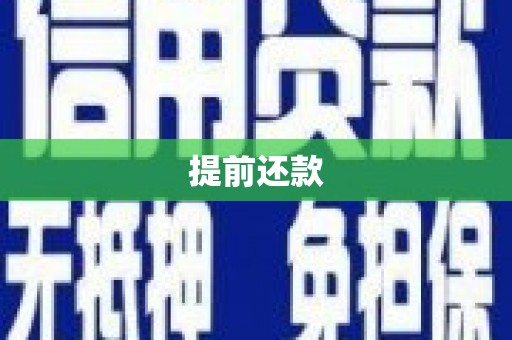沙依巴克提前还款
