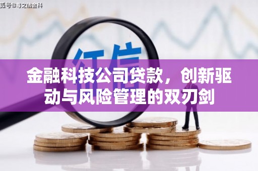 沙依巴克金融科技公司贷款，创新驱动与风险管理的双刃剑
