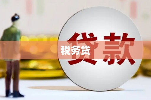 沙依巴克税务贷